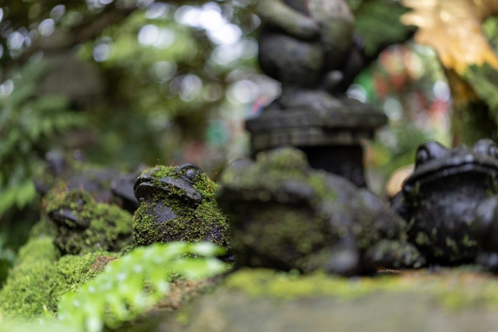 苔むしたかえるの石像が並ぶ如意輪寺かえる寺の静かな境内