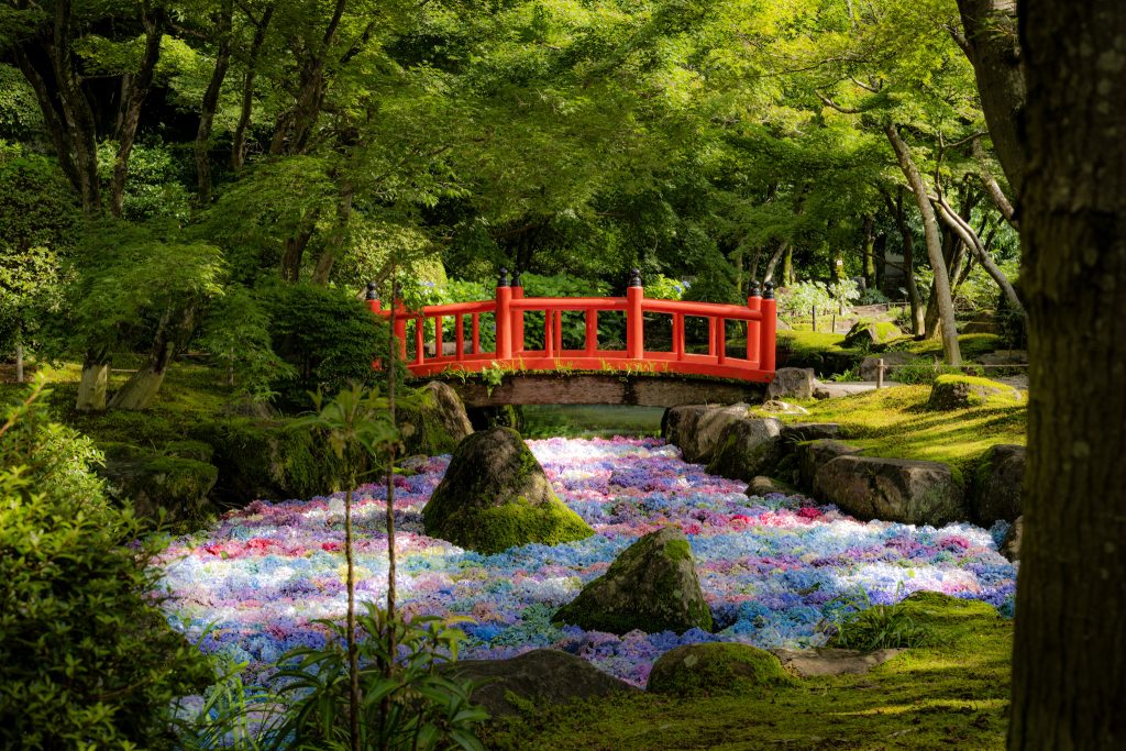 祐徳稲荷神社の日本庭園で赤い橋とアジサイの池を木々の間から眺めた風景