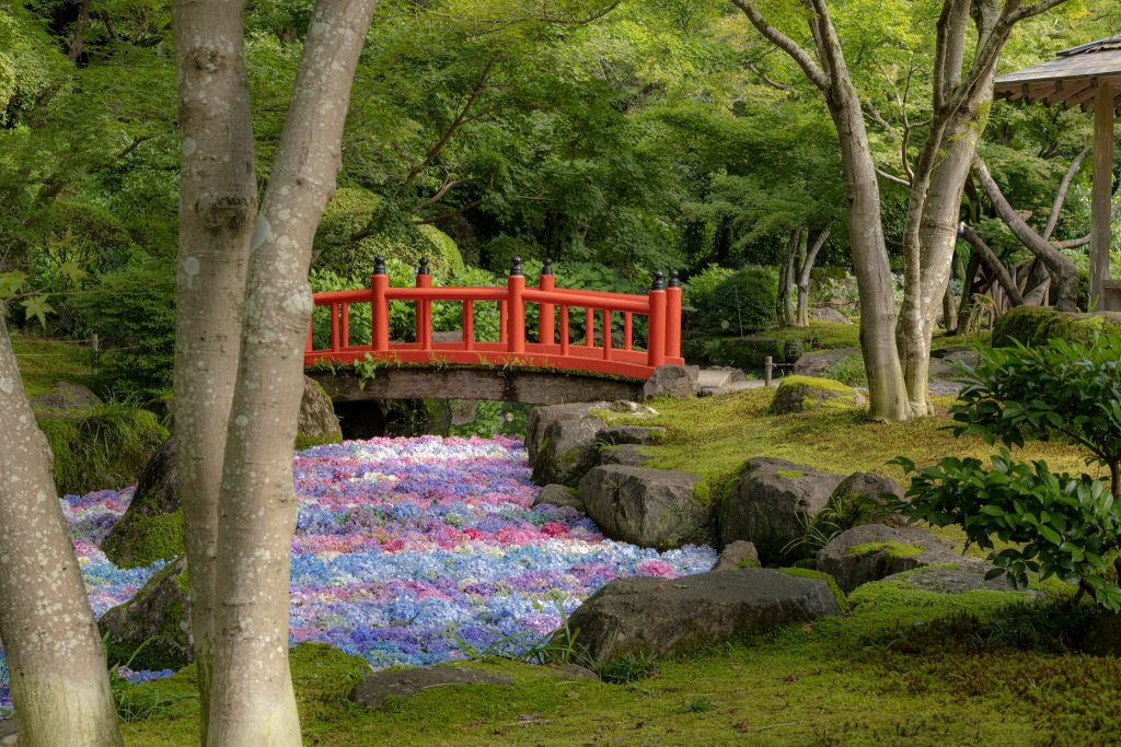 祐徳稲荷神社の日本庭園で木々の間から赤い橋とアジサイの池を眺めた風景