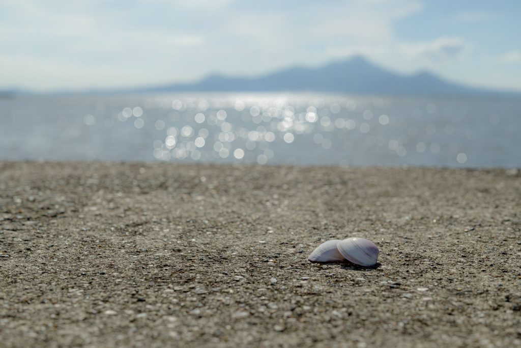 砂浜に寄り添う二枚の貝殻と、背景にぼけて見える海面の輝きと山並み