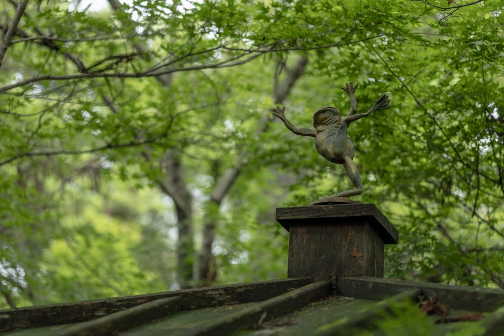 緑に囲まれた如意輪寺かえる寺の境内で、屋根の上に立つかえるの像