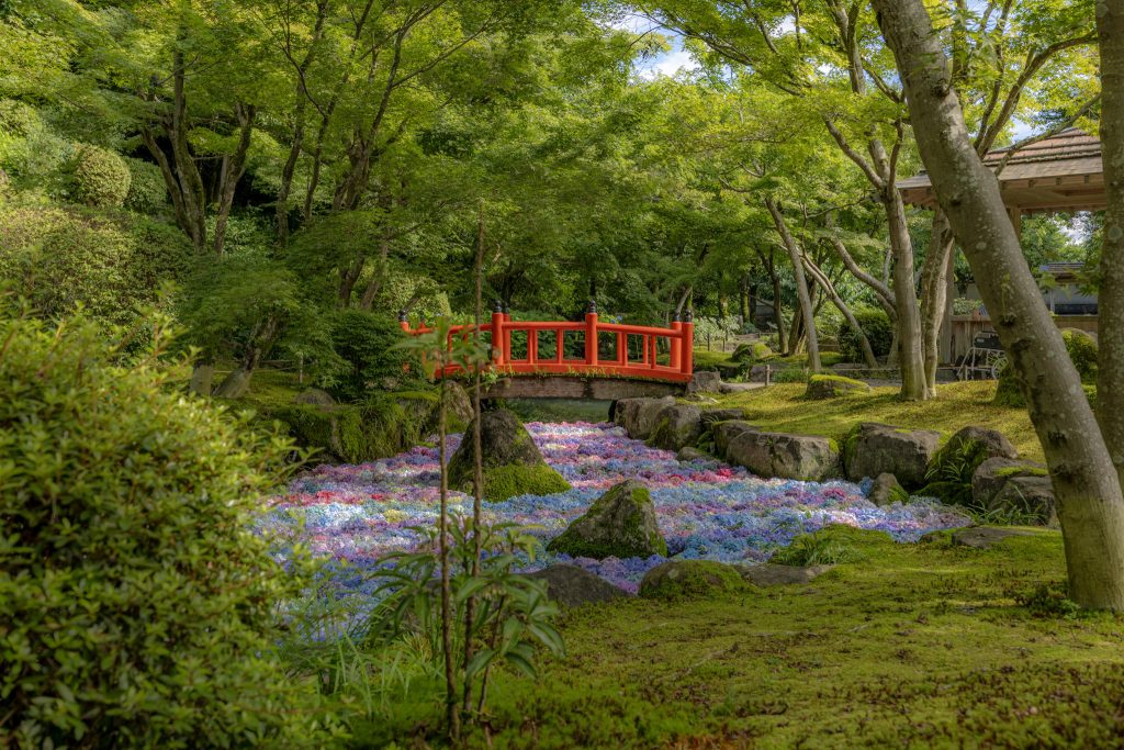 祐徳稲荷神社の日本庭園で、緑に包まれた赤い橋とアジサイの池を撮影した風景
