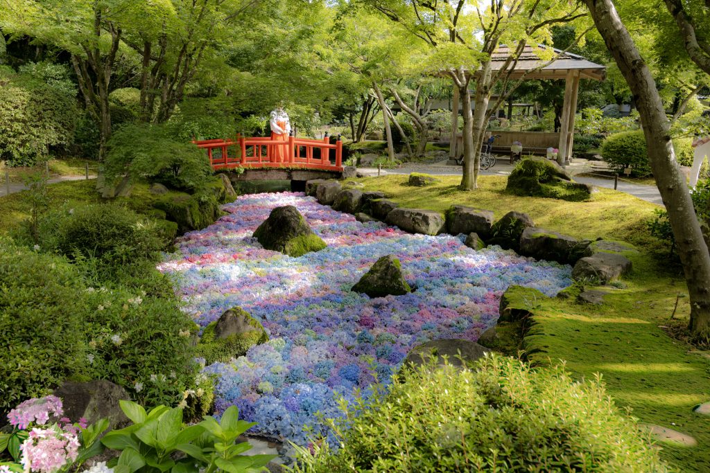祐徳稲荷神社の日本庭園を広角レンズで撮影した、アジサイの池と赤い橋が広がる風景