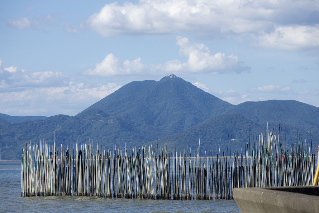 海に並ぶ養殖用の支柱と、その奥に広がる緑の山並み