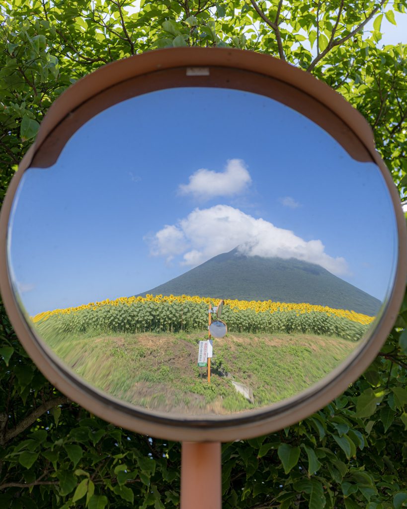 カーブミラーに映るひまわり畑と開聞岳を撮影した夏の風景