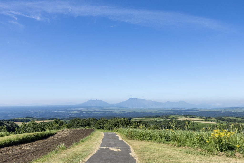 ヒゴタイ公園の遊歩道から望む阿蘇の山並み
