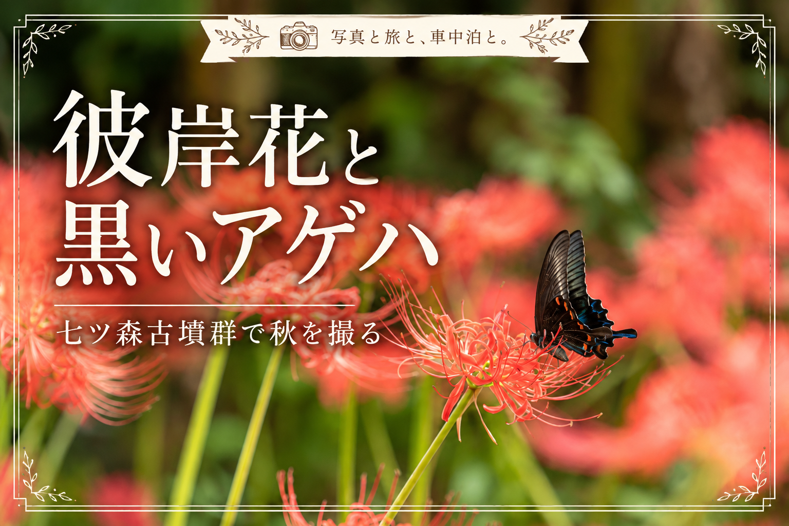 七ツ森古墳群の彼岸花と黒いアゲハを写したアイキャッチ画像
