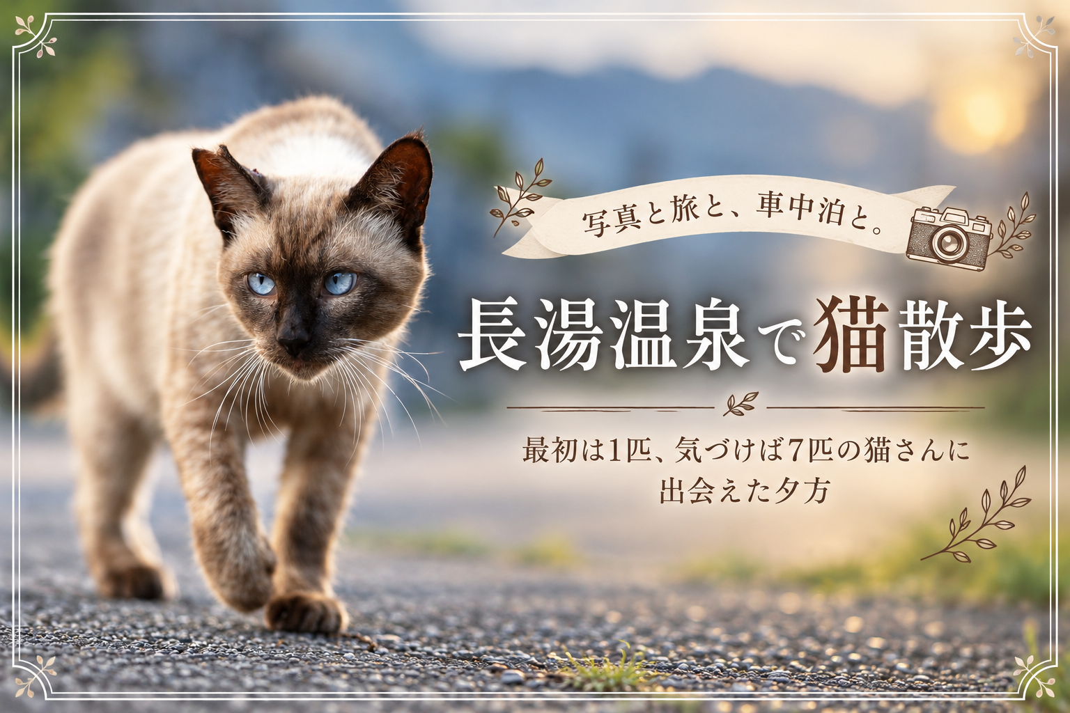 長湯温泉で猫散歩をイメージした、青い目の猫のアイキャッチ画像